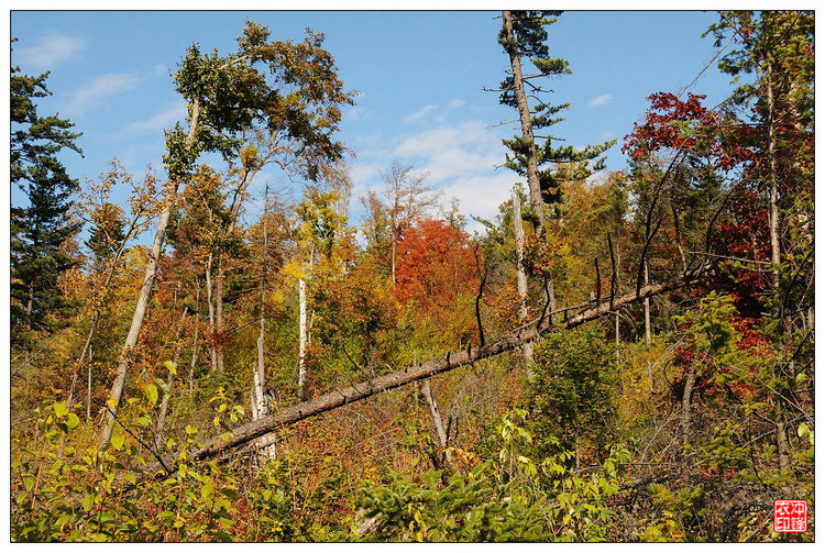 湯望河國家公園 花崗巖石林 地質公園