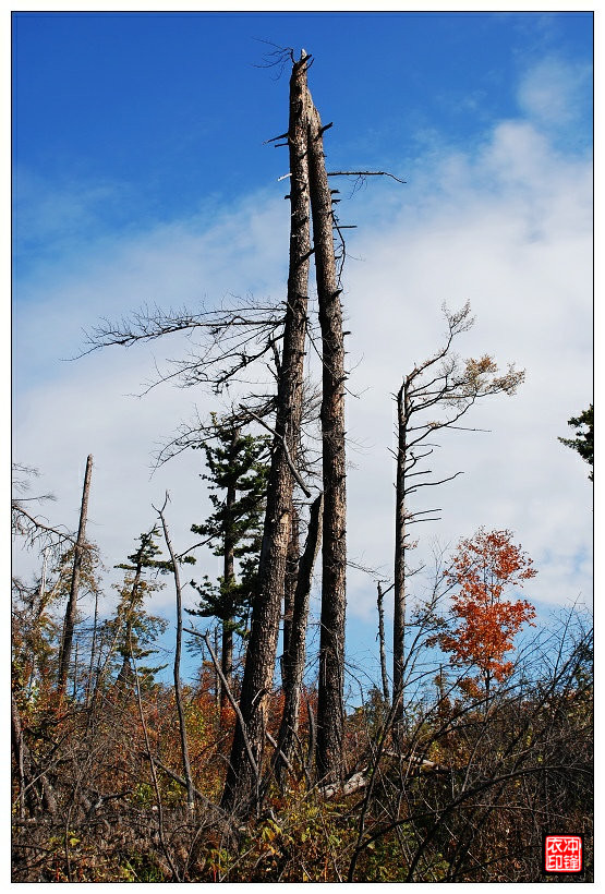 湯望河國家公園 花崗巖石林 地質公園