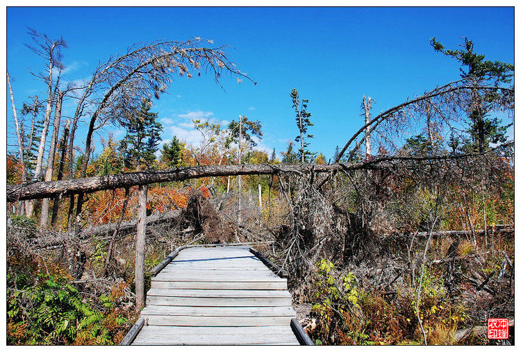 湯望河國(guó)家公園 花崗巖石林 地質(zhì)公園