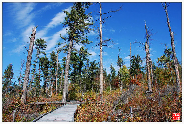 湯望河國(guó)家公園 花崗巖石林 地質(zhì)公園