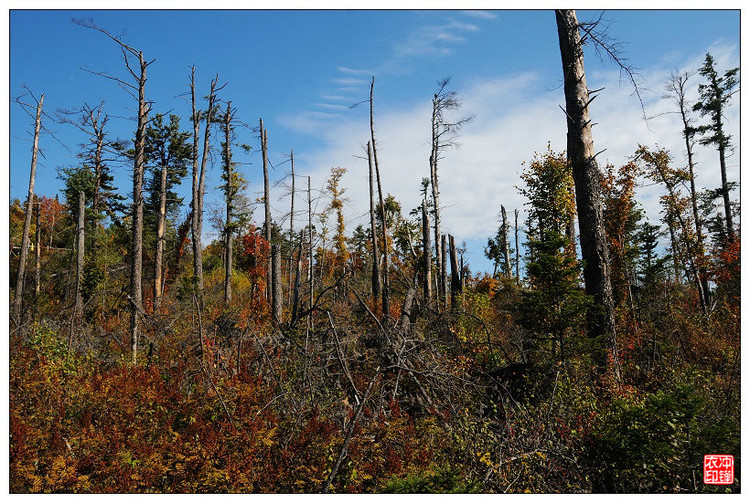 湯望河國家公園 花崗巖石林 地質公園