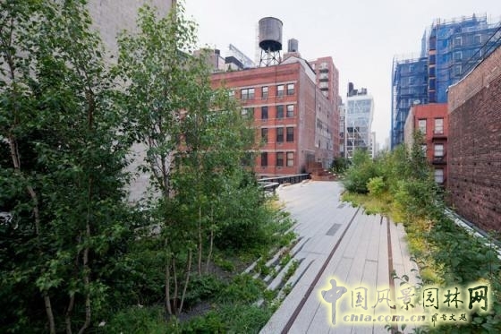 高線(xiàn)公園2期