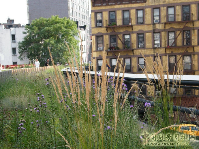 紐約高線公園2期