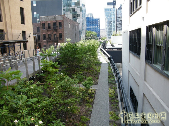 紐約高線公園2期