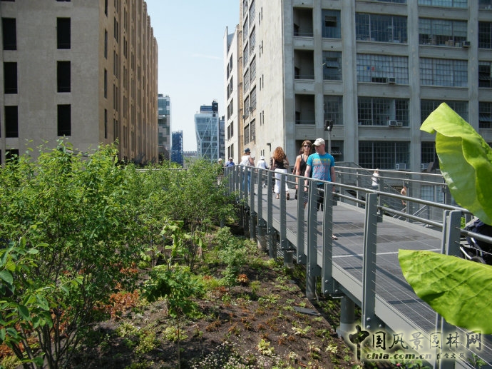 紐約高線公園2期