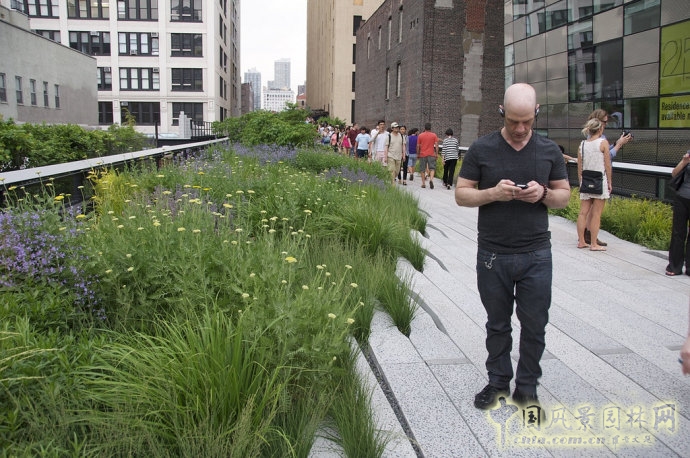 紐約高線公園2期