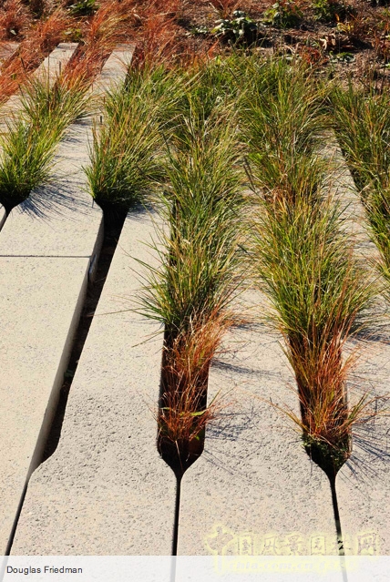 紐約高線公園2期