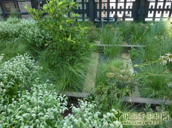 紐約高線公園2期