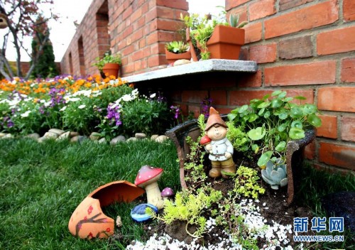 創(chuàng)意家庭園藝