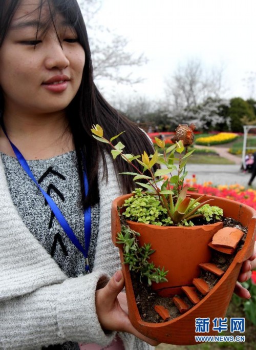 創(chuàng)意家庭園藝