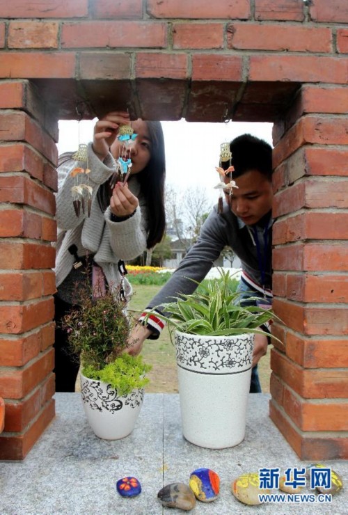 創(chuàng)意家庭園藝