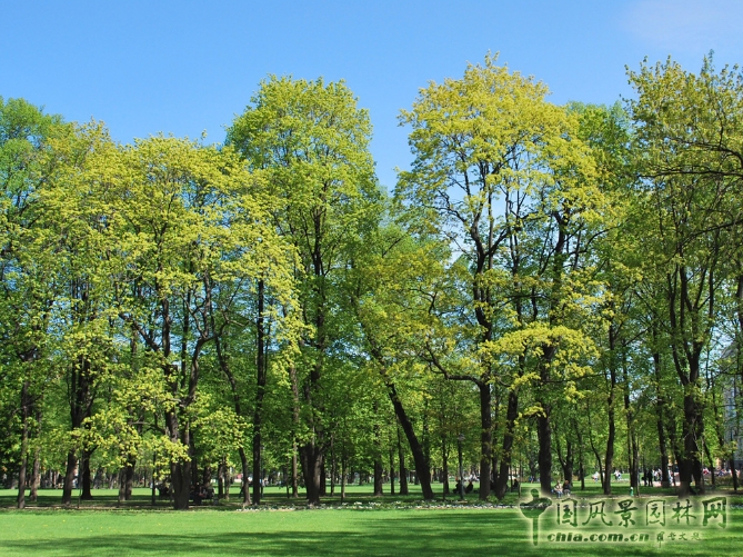 米哈伊洛夫斯基宮廷花園