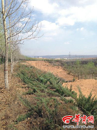 陜西榆林 環保局毀林 林地被毀 林業局