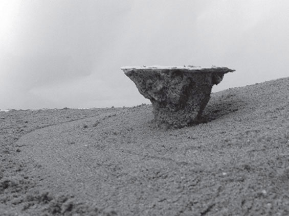 丹麥羅斯基勒之沙丘景觀