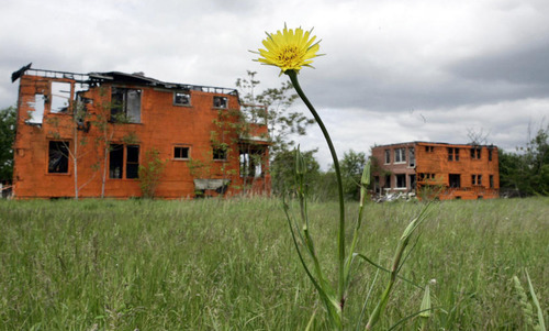 底特律轉型 園林城 景觀園林