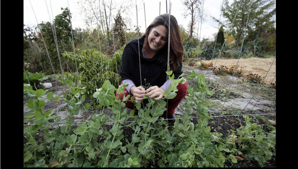 底特律轉(zhuǎn)型 園林城 景觀園林