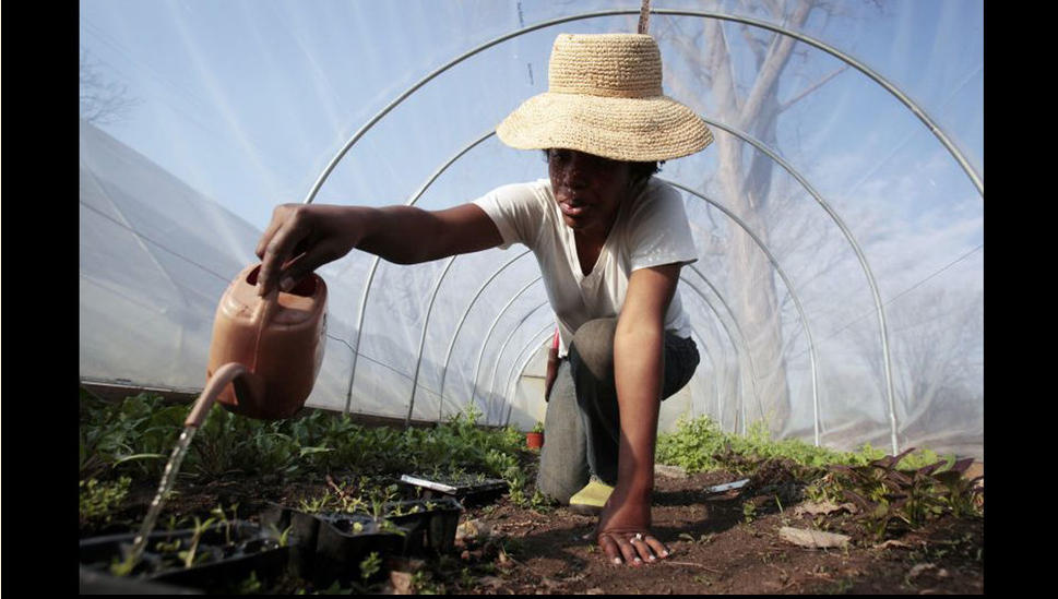 底特律轉型 園林城 景觀園林