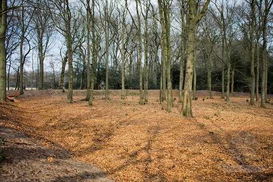 MD景觀設(shè)計事務(wù)所設(shè)計的小游園