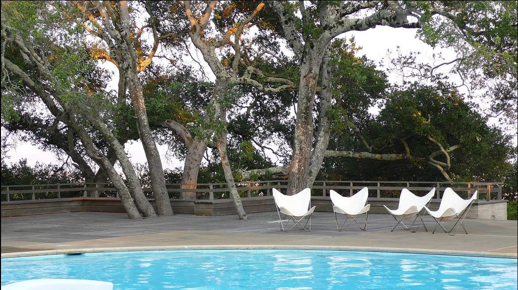 景觀設計 唐納花園 托馬斯·丘奇 加州花園