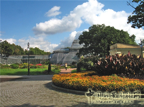 圣彼得堡植物園