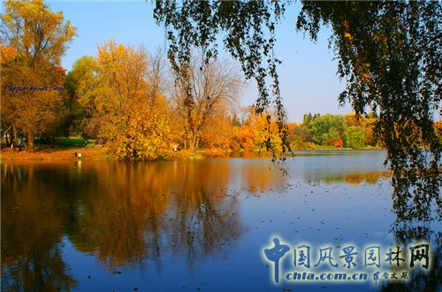 圣彼得堡植物園