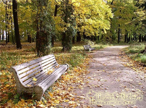 圣彼得堡植物園