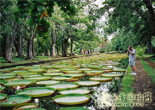圣彼得堡植物園