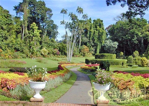 圣彼得堡植物園