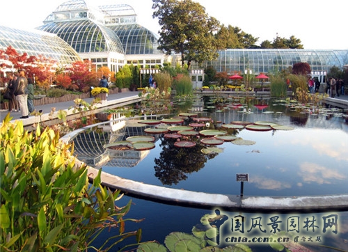 圣彼得堡植物園