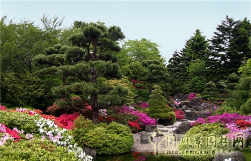 圣彼得堡植物園
