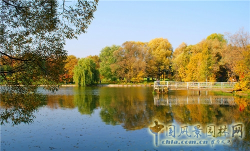 圣彼得堡植物園
