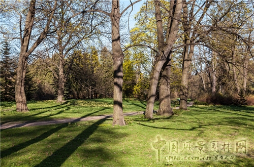 圣彼得堡植物園