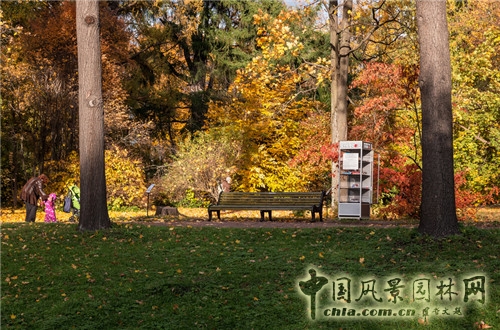 圣彼得堡植物園
