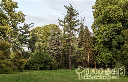 圣彼得堡植物園