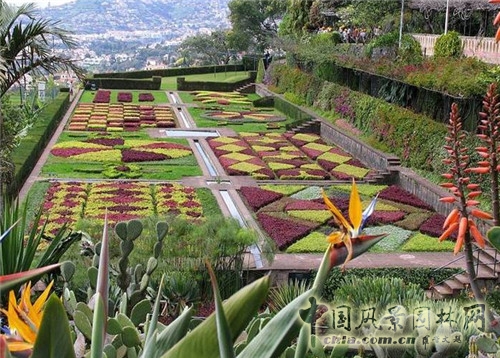 圣彼得堡植物園