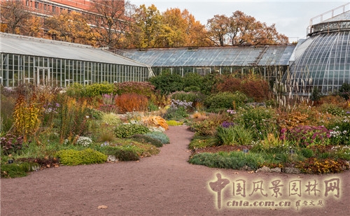 圣彼得堡植物園