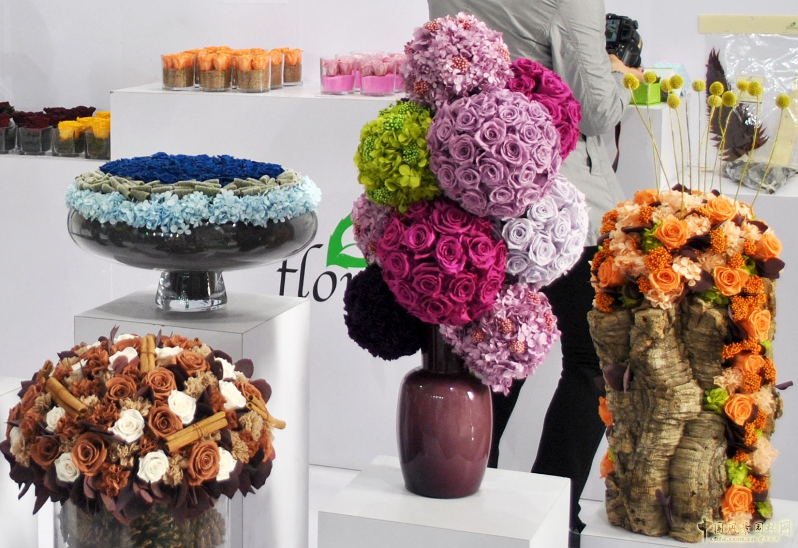 第十六屆中國(guó)國(guó)際花卉園藝展覽