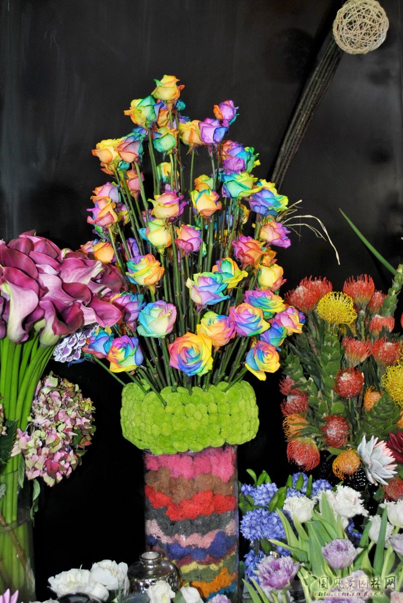 第十六屆中國(guó)國(guó)際花卉園藝展覽