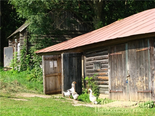 雅斯納亞?波良納