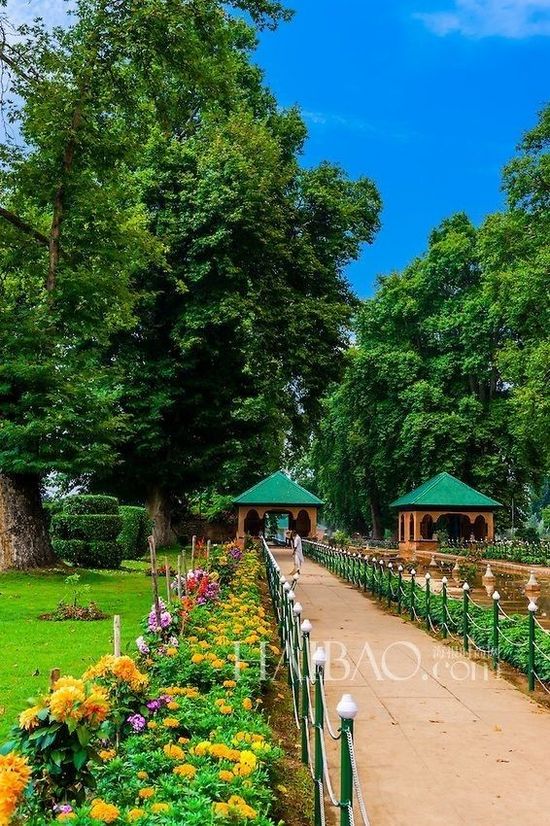 美麗花園 花園景觀