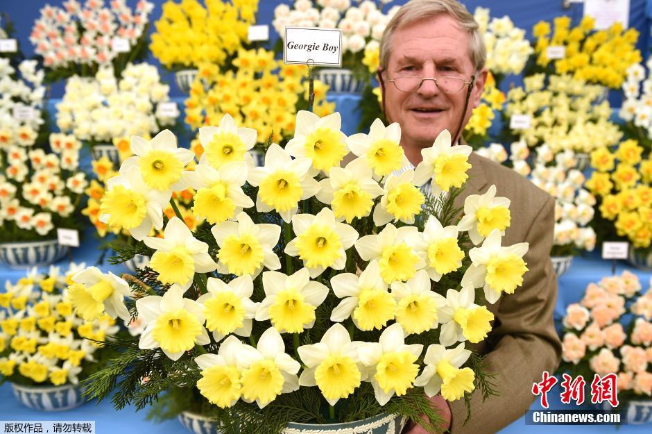 切爾西花展 花展 英國皇家園藝學(xué)會