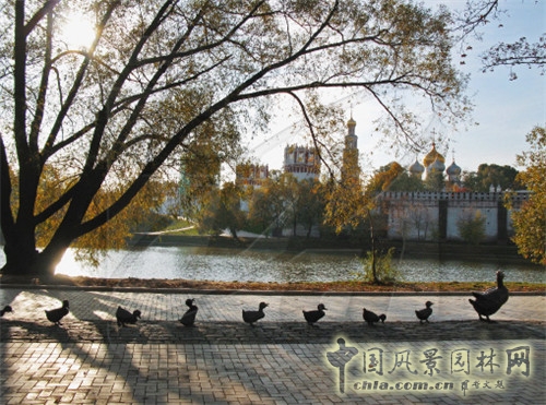 新圣母修道院及名人墓園