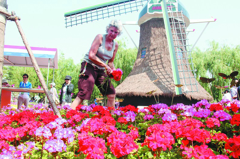 青島世園會(huì)荷蘭園藝