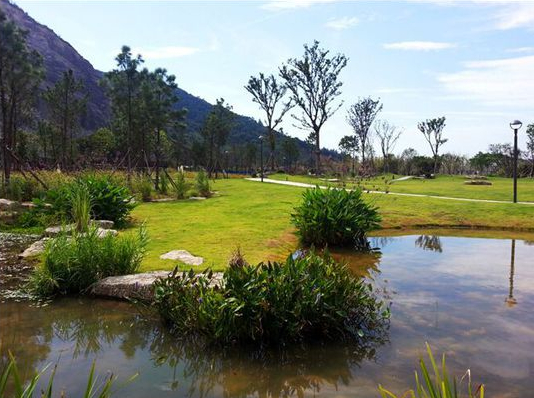 東聯設計攜手著名雕塑家打造中國首個姿態雕塑公園