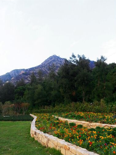 東聯(lián)設(shè)計(jì)攜手著名雕塑家打造中國首個(gè)姿態(tài)雕塑公園