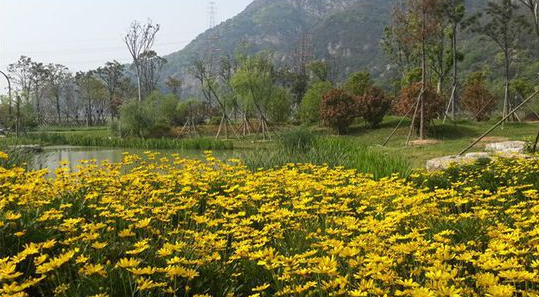 東聯(lián)設(shè)計(jì)攜手著名雕塑家打造中國首個(gè)姿態(tài)雕塑公園