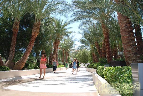 米高梅城市中心