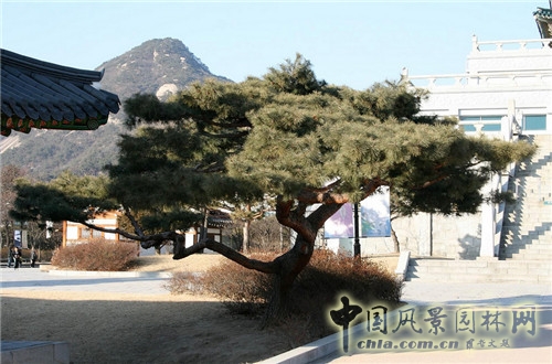 韓國國立民俗博物館