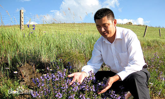 蒙草抗旱 王召明 生態建設 生態產業