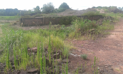 趙兵 LID理論 貴溪公園 休閑綠地